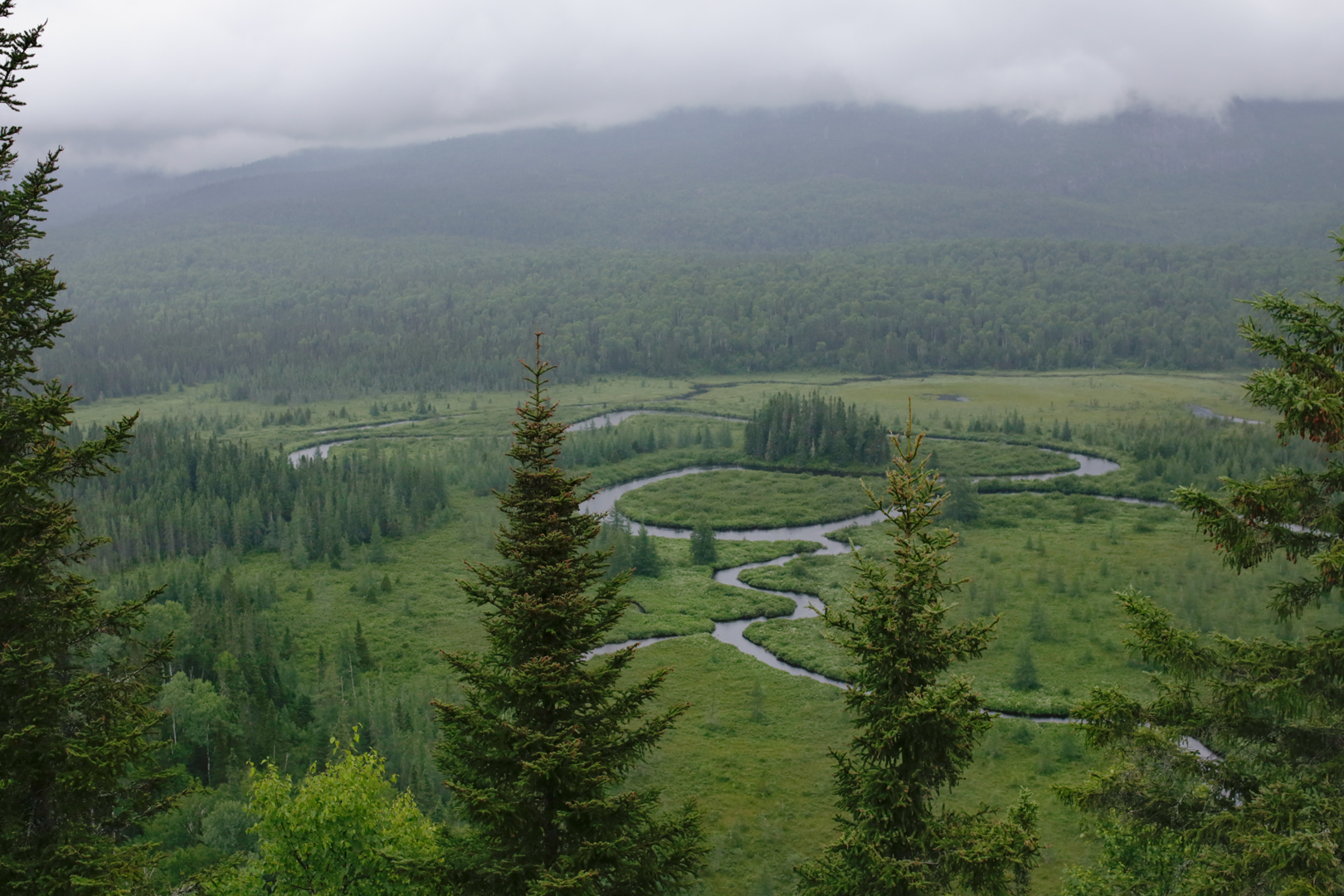 Photo de nature par Simon Bernier-Bilodeau