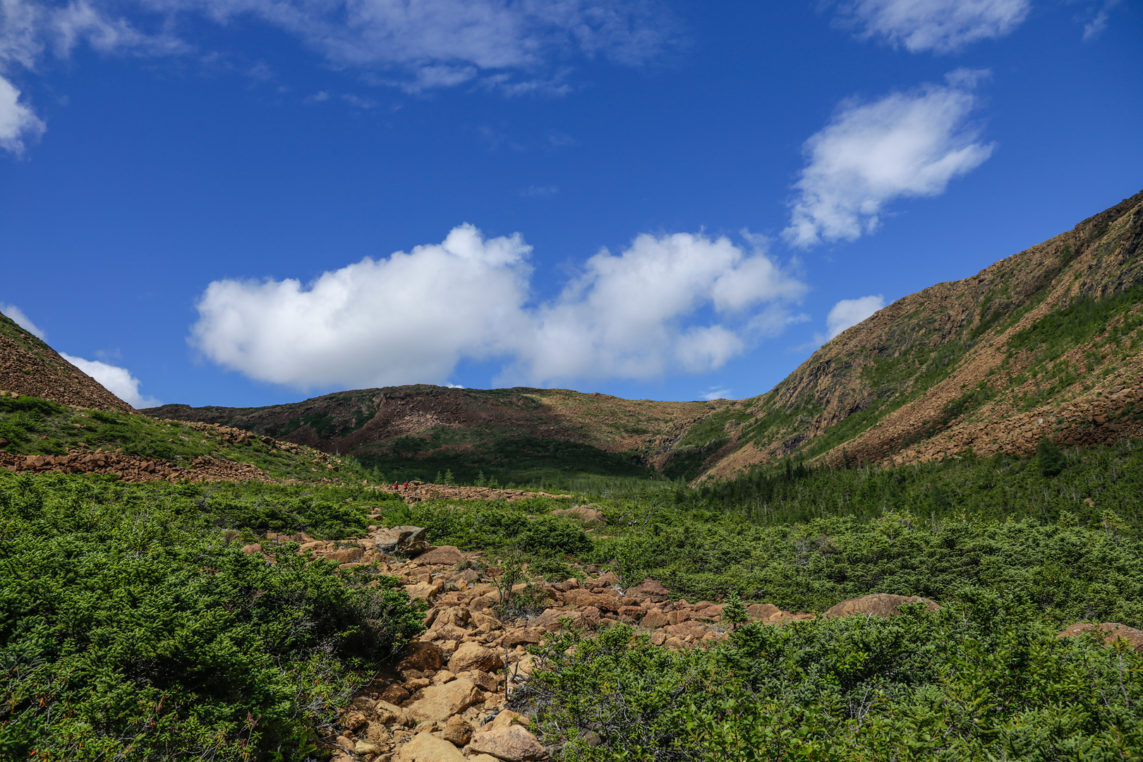 Photo de nature par Simon Bernier-Bilodeau