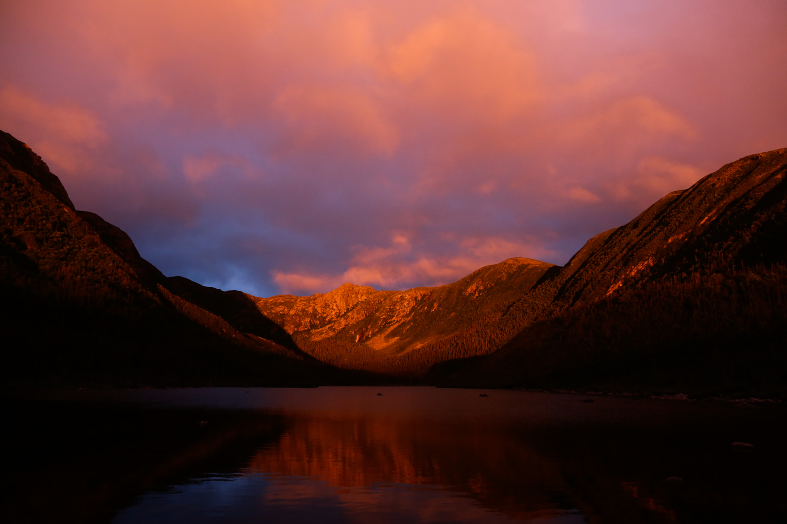 Photo de nature par Simon Bernier-Bilodeau